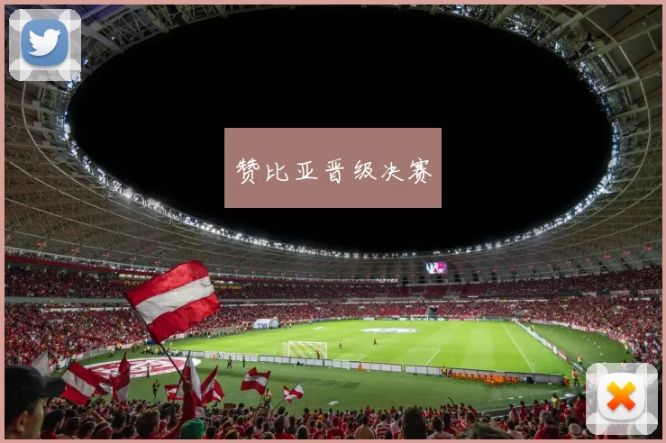 赞比亚晋级决赛