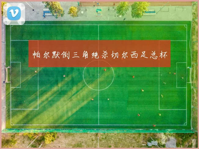 帕尔默倒三角绝杀切尔西足总杯