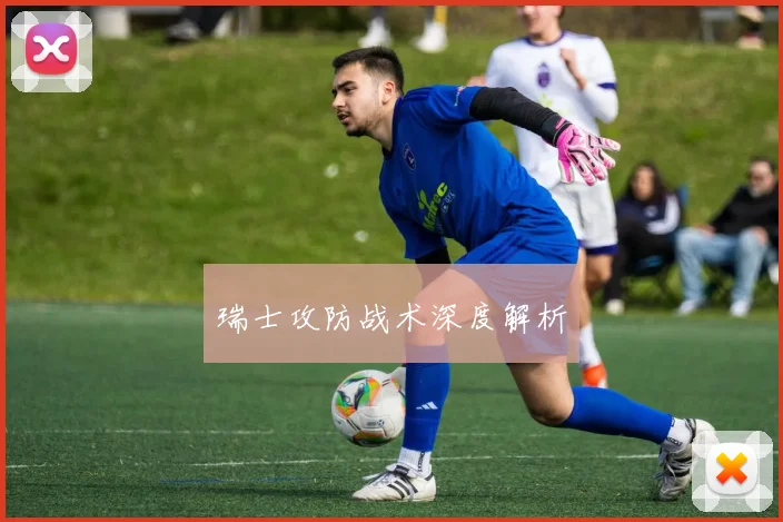 瑞士攻防战术深度解析