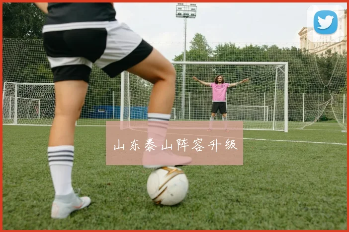 山东泰山阵容升级