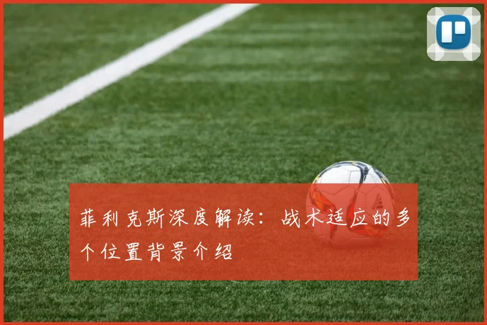 菲利克斯深度解读：战术适应的多个位置背景介绍