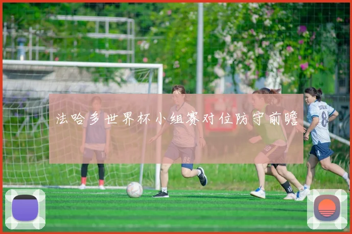 法哈多世界杯小组赛对位防守前瞻