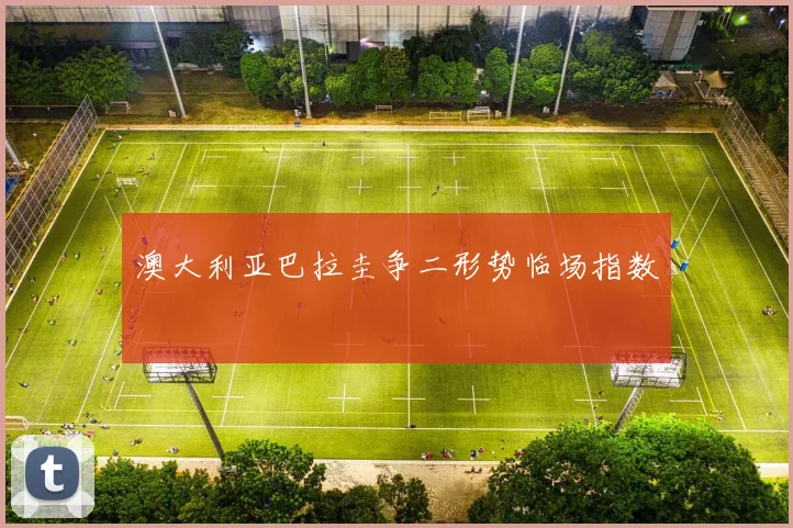澳大利亚巴拉圭争二形势临场指数