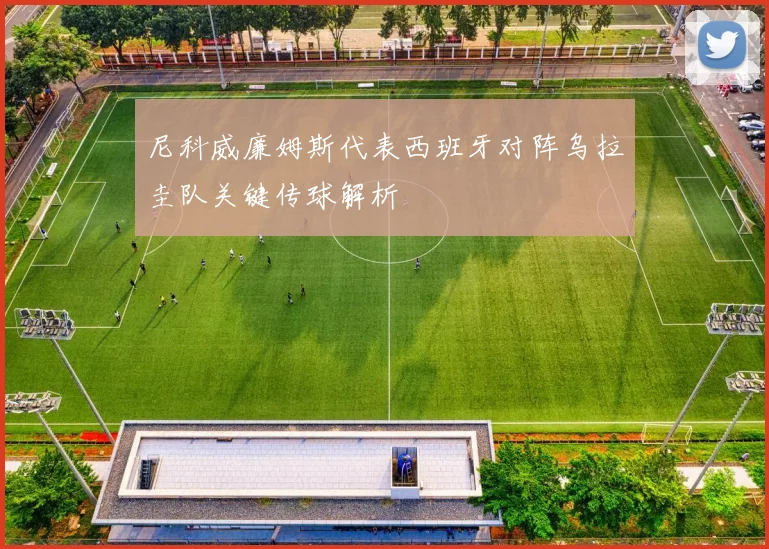 尼科威廉姆斯代表西班牙对阵乌拉圭队关键传球解析