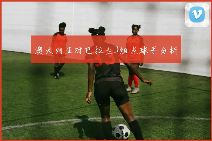 澳大利亚对巴拉圭D组点球手分析