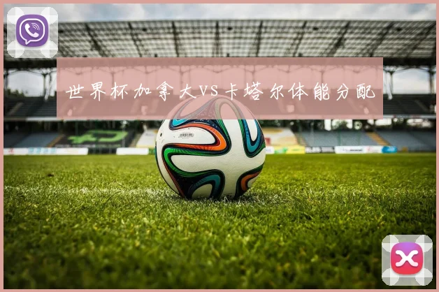 世界杯加拿大vs卡塔尔体能分配