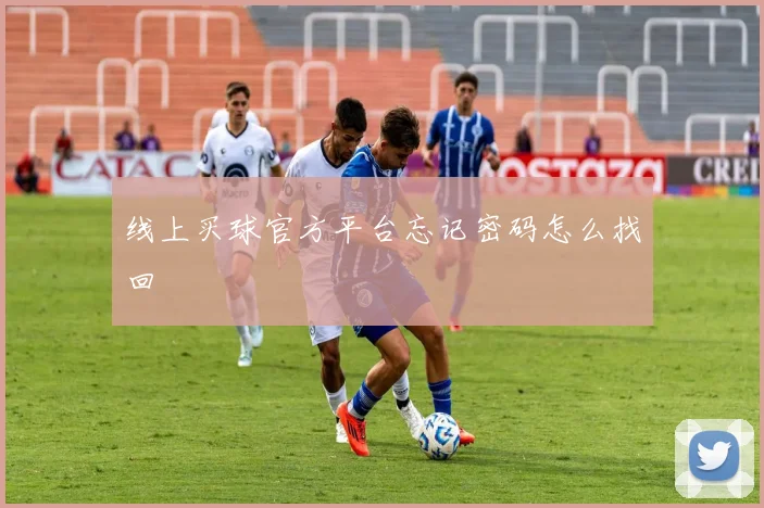 线上买球官方平台忘记密码怎么找回