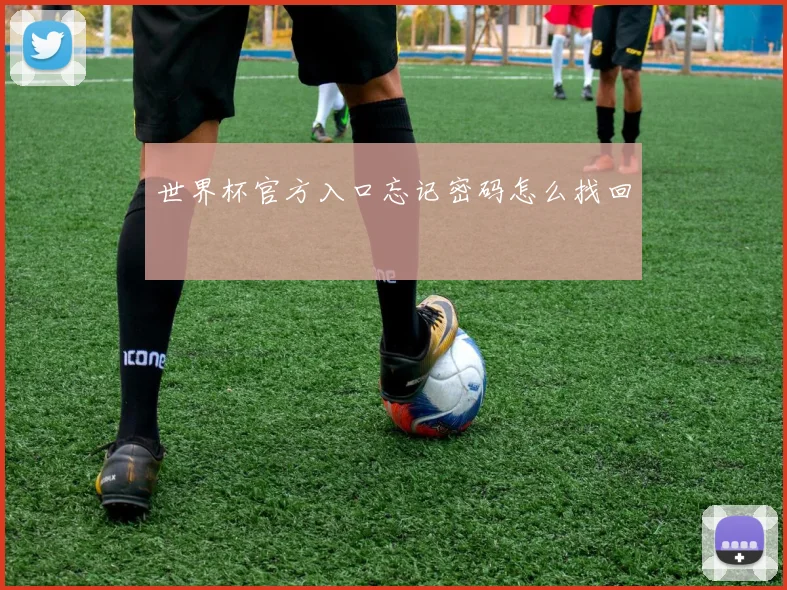世界杯官方入口忘记密码怎么找回