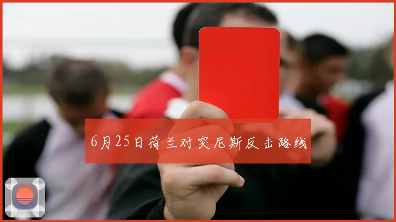 6月25日荷兰对突尼斯反击路线